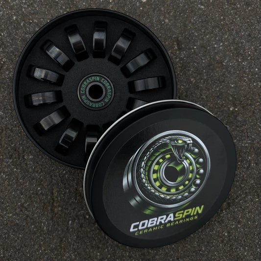 Ceramic bearing