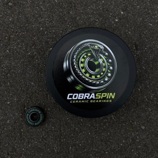 Ceramic bearing